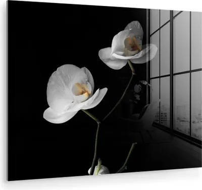Produktbild von MuchoWow Glasbilder - Bilder auf Wandbild - Foto auf Glas Orchidee - Blumen - Schwarz - Weiß - Stilleben 80x60 cm Wanddekoration aus Glas - Acrylglasbild - Acrylbilder - Wanddekorationen