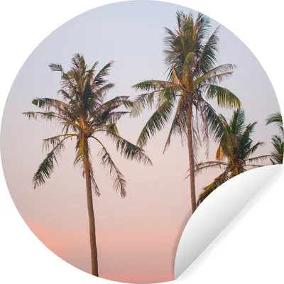 Produktbild von MuchoWow® Runde Wandtattoo - Wandsticker Tapete Aufkleber Tropisch - Palmen - Sonnenuntergang Ø 30 cm Selbstklebend und Repositionierbar - Wandaufkleber - Kreis - Wandbild - Fototapete - Selbstklebend - Dekoration - Wandschmuck - Schlafzimmer