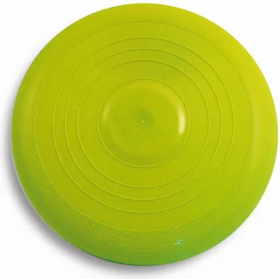 Produktbild von Wurfscheibe 22cm bunt sort