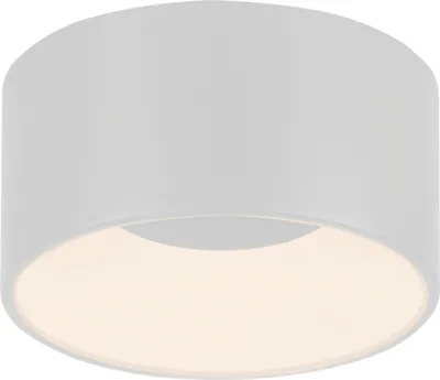 Obrázek produktu pro LED stropní svítidlo - Ø 16 cm - bílé - plastové - stmívatelné
