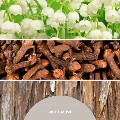Zdjęcie produktu dla Uzupełniacz do pałeczek 250 ml White Musk Millefiori Milano