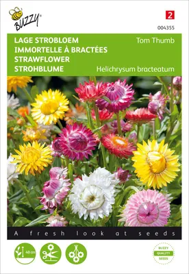 Productafbeelding van Strohblume Tom Thumb mengsel | Bloemenzaden van Buzzy Seeds