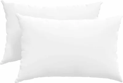 Immagine prodotto di vidaXL Cuscini per divano, 2 pezzi, tessuto bianco, 60 x 40 cm