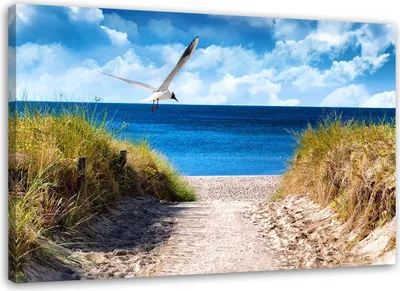 Produktbild von Leinwandbild weg zum strand und eine möwe 120x80 cm Feeby blau wandbild bereit zum aufhängen