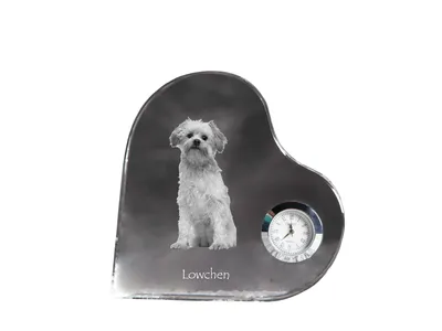 Produktbild von Löwchen - Kristalluhr mit einem Hundebild, Herzregal-Uhr, personalisierte Standuhr der Marke Art-Dog