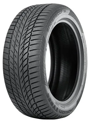 Image de 255/40R21 102V Snowproof 3P Xl Rg