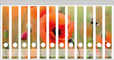 Produktbild von Wallario Ordnerrücken Sticker, selbstklebend für schmale Ordner, 12 Stück, Motiv Mohnblumenblüten