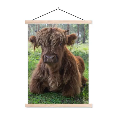 Produktbild von MuchoWow® Textilposter Schottischer Highlander - Kröte - Tiere 120x160 cm mit holzfarbenen Rahmen - Plakatkarton