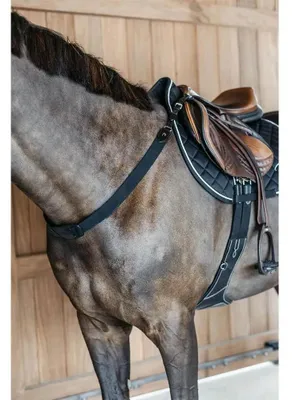 Image de Collier de chasse élastique Dyon NEC