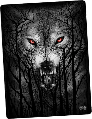 Produktbild von Spiral Decke  Forest Wolf multicolor Standard