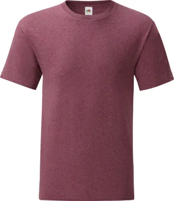 Immagine prodotto di Fruit of the Loom - Maglietta "Iconic 150" per bambini RW9475 (L) (Heide Burgund)