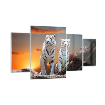 Produktbild von Bilder auf glas - Tiger weiß Rock Sonnenuntergang - 160x90cm - Glasbilder - Wandbilder - Kunstdruck - zum Aufhängen bereit - Wanddekoration aus Glas - Glas Bilder - Wandbild auf Glas - GDL160x90-2901