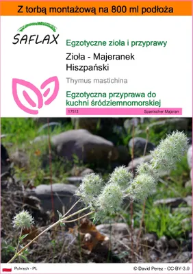 Zdjęcie produktu dla SAFLAX - Garden in the bag - Zioła - Majeranek Hiszpański - 250 Nasiona - Z podłożem uprawowym w praktycznej, samorozkładającej się torbie - Thymus mastichina