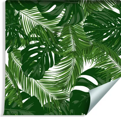 Zdjęcie produktu dla Tapeta Ścienna Abstrakcyjne Egzotyczne LIŚCIE Monstera Rośliny Tropikalne Dekoracja idealna do Salonu 3D