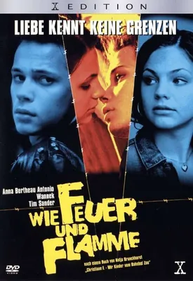 Produktbild von Wie Feuer und Flamme