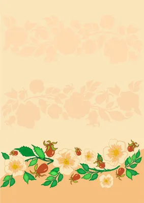 Produktbild von Motivpapier Briefpapier (Blumen-5080, DIN A4 100 Blatt) Hagebutten Rosen rot weiß blühende Blüten