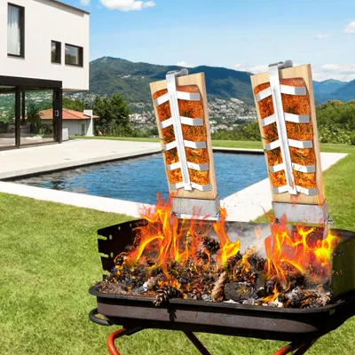 Immagine prodotto di QEENTOE, tavole per salmone affumicato, set di 2, con supporto in acciaio inossidabile robusto, adatte per braciere e barbecue