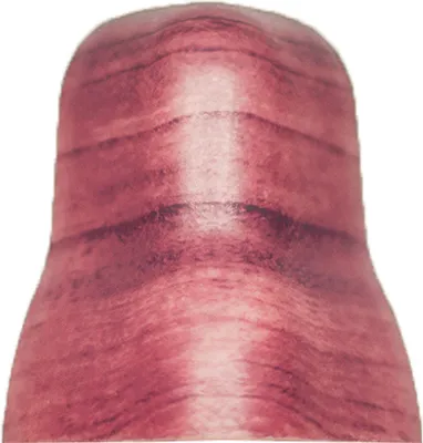 Produktbild von SN Deco - Sockelleisten Aussenecken 53.08 Walnuss (4 Stück)