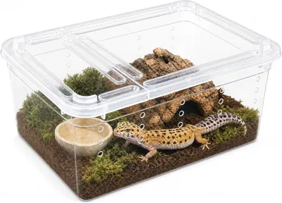 Imagen del producto de Recipientes transparentes para alimento de reptiles, 2 unidades, apilables, para mascotas pequeñas