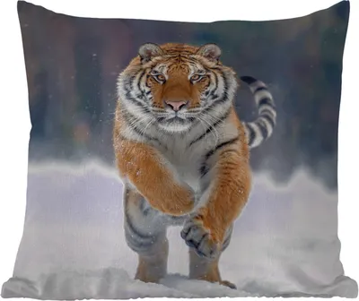 Produktbild von MuchoWow® Outdoor Kissen - Tiger - Landschaft - Schnee - Tiere - 45x45 cm - Wetterfest - Lounge Kissen - Fotokissen - Dekoratives Kissen