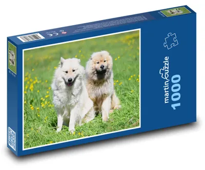 Obrázek produktu pro martinpuzzle - Puzzle 1000 - Eurasier - pes