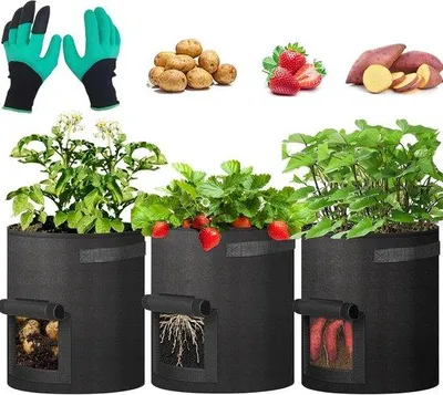 Imagen del producto de Bolsa de cultivo de tela no tejida, de 10 galones (40 litros), color verde, para tomates y patatas, incluye guantes de jardinería