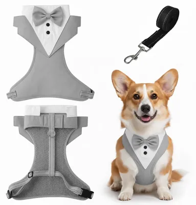 Productafbeelding van Solidchoice - Tuxedo Hondentuigje met Vlinderdas voor Kleine en Middelgrote Honden