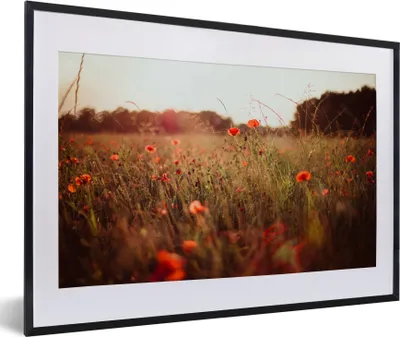 Produktbild von MuchoWow® MuchoWow® Gerahmtes Poster Sonnenuntergang - Blumen - Rot 60x40 cm - Poster mit zchwarzem Bilderrahmen - Schlafzimmer - Plakat in Rahmen - Drucken