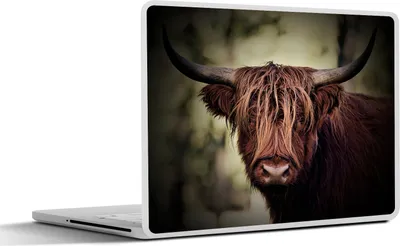 Produktbild von MuchoWow® Laptop Aufkleber Sticker Cover Schottisches Hochlandrind - Licht - Porträt - Natur 30x22 cm - Laptop-Sticker