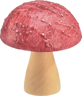 Produktbild von Holzpilze Deko Tischdeko Herbst Rot Natur 5×6cm 9St - Dekopilze Herbstdeko, 9 Stück
