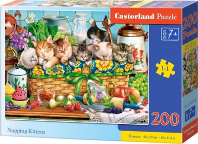 Zdjęcie produktu dla Puzzle 200 elementów „Drzemiące kocięta” 222278 Castorland