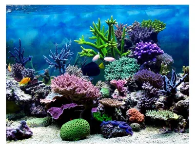 Produktbild von Aquarium Poster, Wanddekoration Unterwasserwelt, selbstklebendes Hintergrundbild für Aquarien (61 * 41 cm)