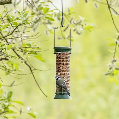 Produktbild von CJ Wildlife Futtersäule Vögel - Erdnusssäule Kunststoff Grün - hängend oder Stabmontage - kükenfreundlich, einfach nachfüllen