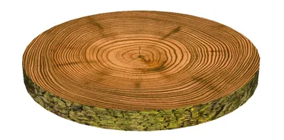 Produktbild von Bertoni RING Stuhlkissen 4x40cm OMSZONA