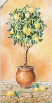 Produktbild von ARTland Wandbild, selbstklebend Zitronenbaum I Größe: 30x60 cm