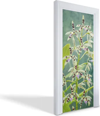 Produktbild von Türdeko Aufkleber Selbstklebende Wandsticker Personalisiert - Exotische Orchidee - 75 x 205 cm