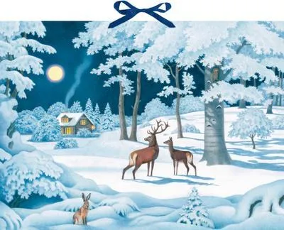 Produktbild von Wand-Adventskalender - Wintertiere bei Nacht