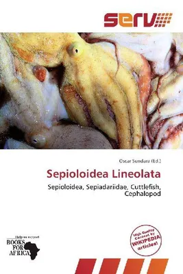 Produktbild von Sepioloidea lineolata