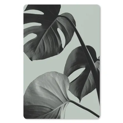 Produktbild von MuchoWow® Mauspad Mousepad Monstera - Blätter - Grün - Stilleben 18x27 cm - Mousepads - Maus Mat - Pad - Mausunterlage