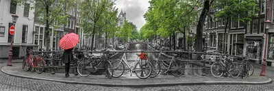 Produktbild von Amsterdam Poster  91,5 x 30,5 cm