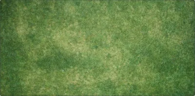 Zdjęcie produktu dla TLAMA games Herní podložka (playmat) 120 x 90 cm (4'x3') - různé motivy (neoprenová, obšitá, playmat) Grass (tráva)
