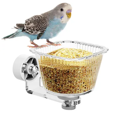 Image de Distributeur de graines pour oiseaux transparent avec système anti-basculement