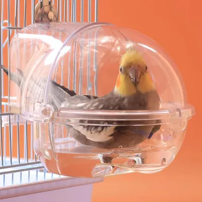Produktbild von Vogelkäfigzubehör, Vogelbad, Vogeltränke für Käfige, transparente Duschbox für Papageien, Badewanne für Käfig und Papagei