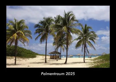 Produktbild von Palmentraum 2025 Fotokalender DIN A3