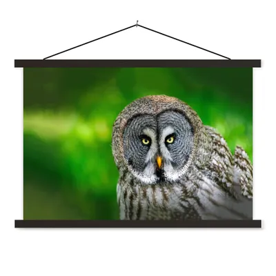 Produktbild von MuchoWow® Textilposter Vogel - Eule - Tiere - Braun - Porträt 60x40 cm mit schwarzem Rahmen - Hölzernes