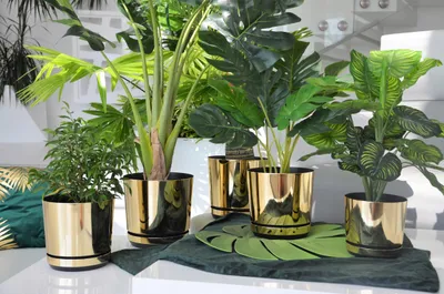 Produktbild von Kerd Set 6 gold glänzend Blumentöpfe mit Untersetzer