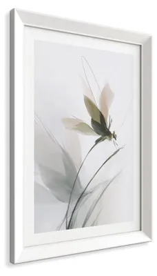Obrázok produktu pre Obraz na stenu STYLER, 56x75 cm, motýľ (vážka), prírodná motíva, Paríž, umelecký obraz, dekorácia na stenu, obývacia izba, spálňa, rám, dizajn