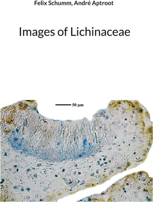 Produktbild von Images of Lichinaceae