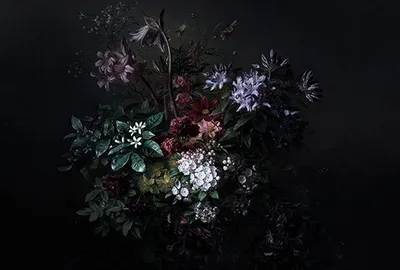 Produktbild von Tadessi Fototapete | Blumen | 4.00 m x 2.70 m | Weiß | Schwarz | Wandbild | Digitaldruck