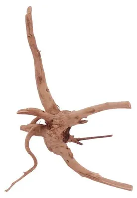 Produktbild von M Moorkienwurzel Nr.4412 Holz Deko Aquascaping